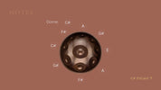 YataoPan C# Pygmy 9