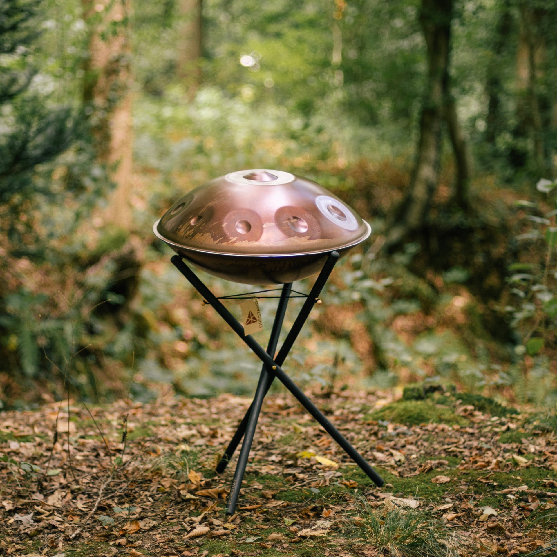 Handpan Stand in Forest