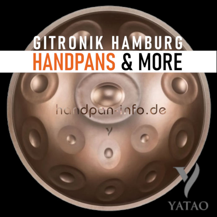 Gitronik Instrumentenhandel u. Restauration GmbH Hamburg