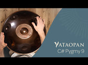 YataoPan C# pygmy 9